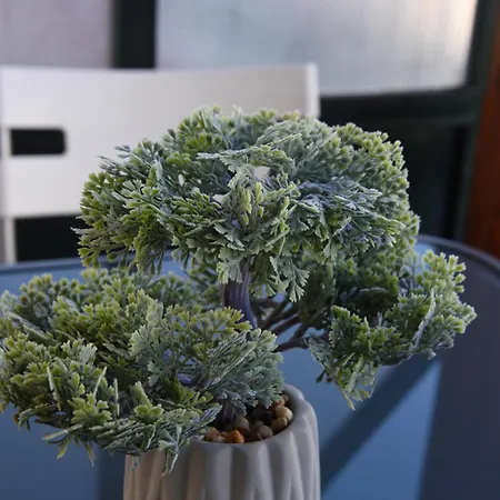 Apartmán 2downtown.dandelion Soluň