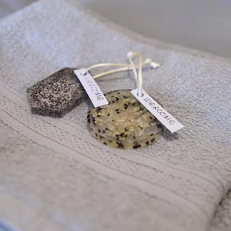 2downtown.dandelion דירה *